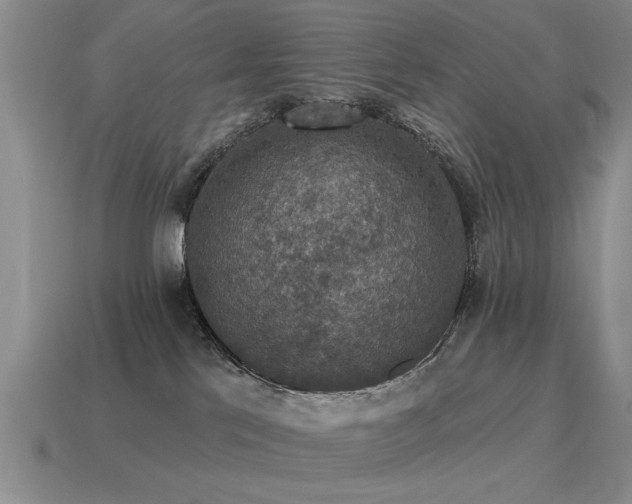 X0000115610041200911101436