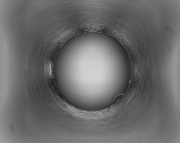 X0000115610042200911101436