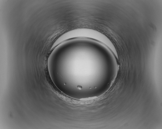 X0000115610043200911101436
