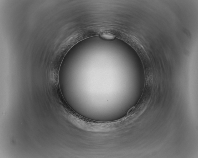 X0000115610044200911101436