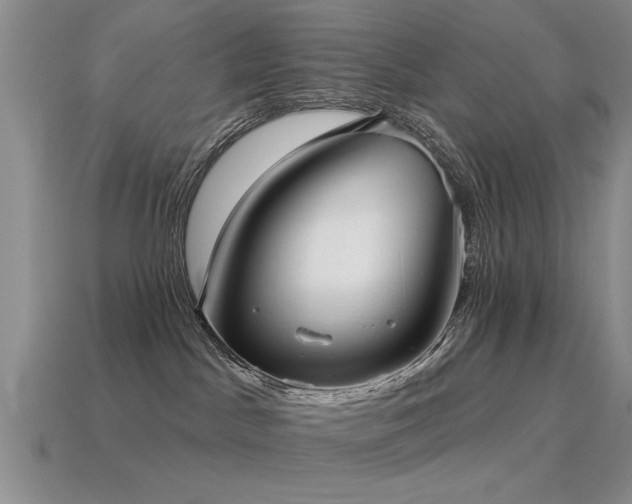 X0000115610045200911101436