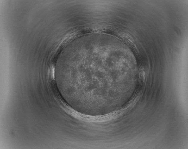 X0000115610046200911101436