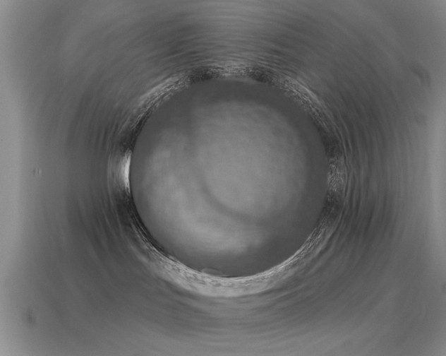 X0000115610047200911101436