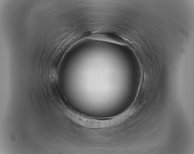 X0000115610048200911101436