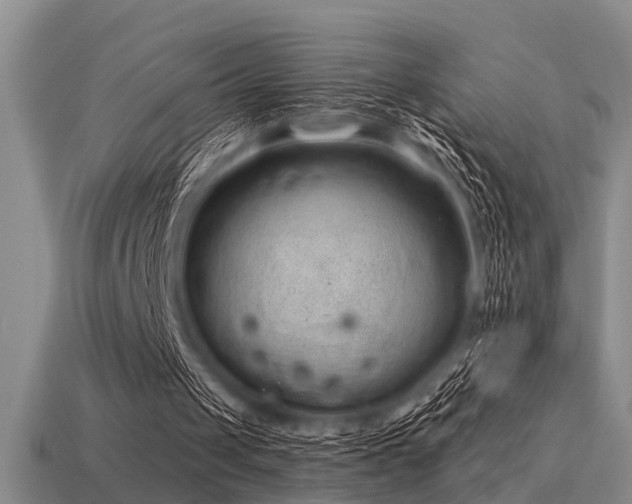 X0000115610049200911101435