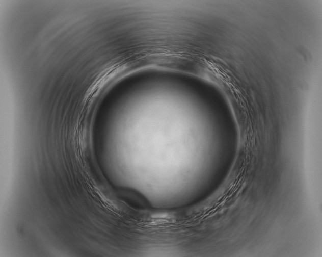X0000115610050200911101435