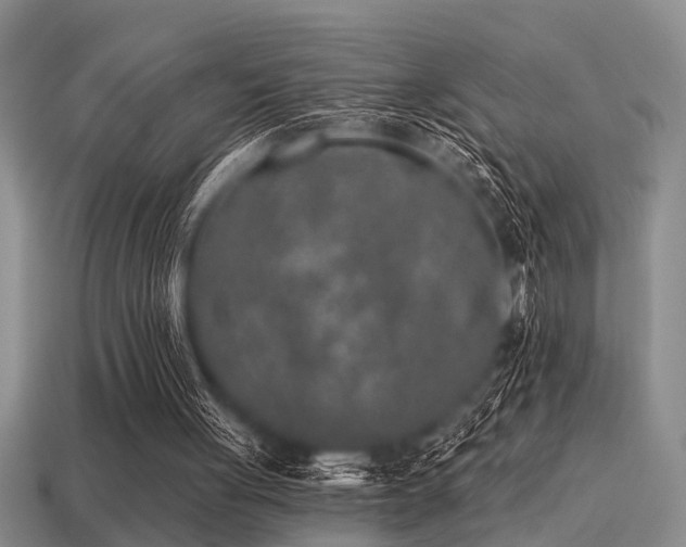 X0000115610051200911101435