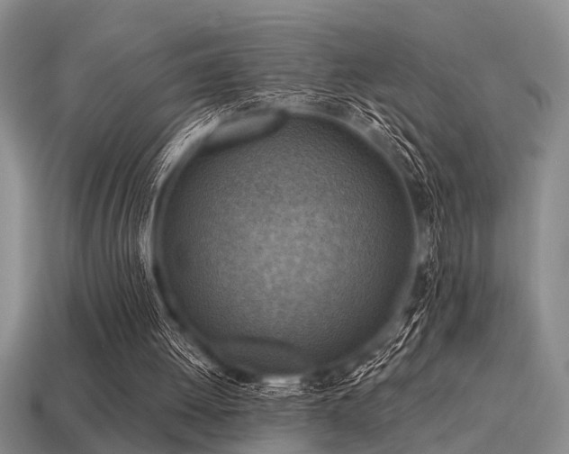 X0000115610052200911101435