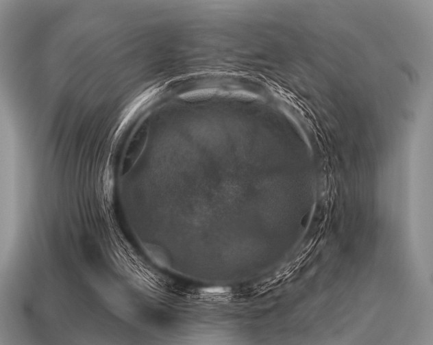 X0000115610053200911101435