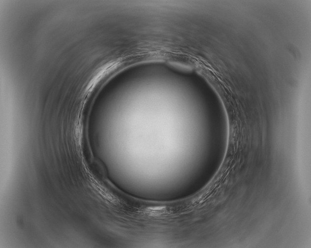 X0000115610054200911101435