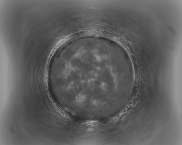 X0000115610055200911101435
