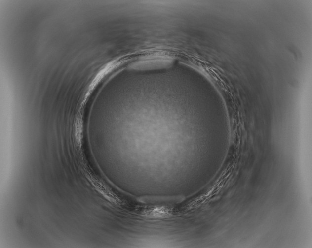 X0000115610056200911101435