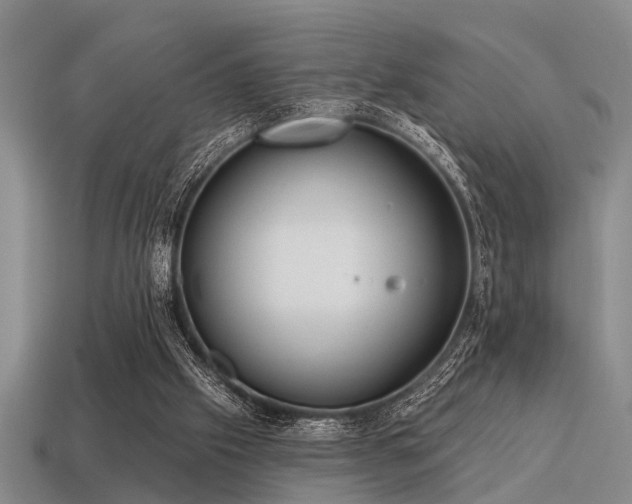 X0000115610057200911101435