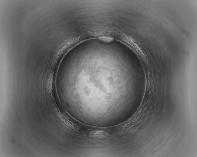 X0000115610058200911101435