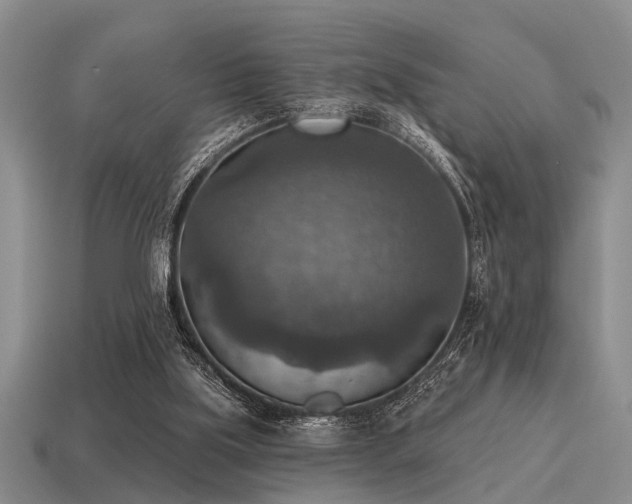 X0000115610059200911101435