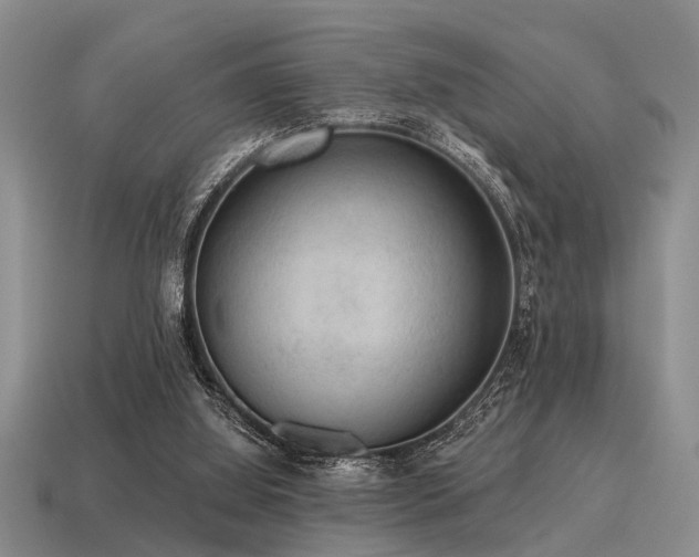 X0000115610060200911101435