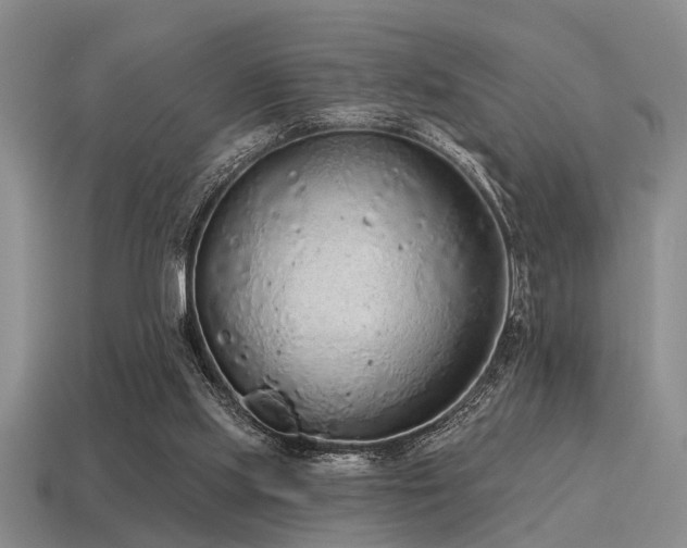 X0000115610061200911101435