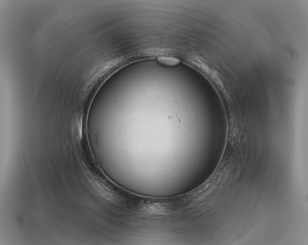 X0000115610062200911101435