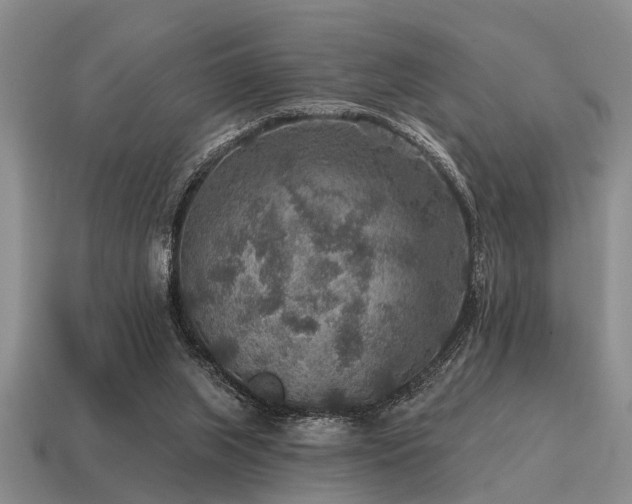 X0000115610063200911101435