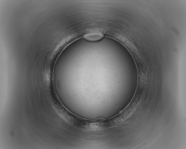 X0000115610064200911101435