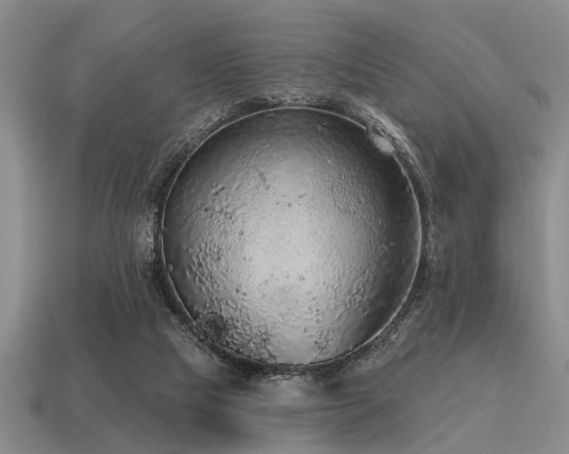 X0000115610065200911101436