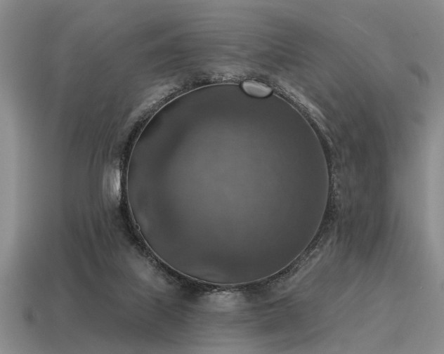 X0000115610067200911101436