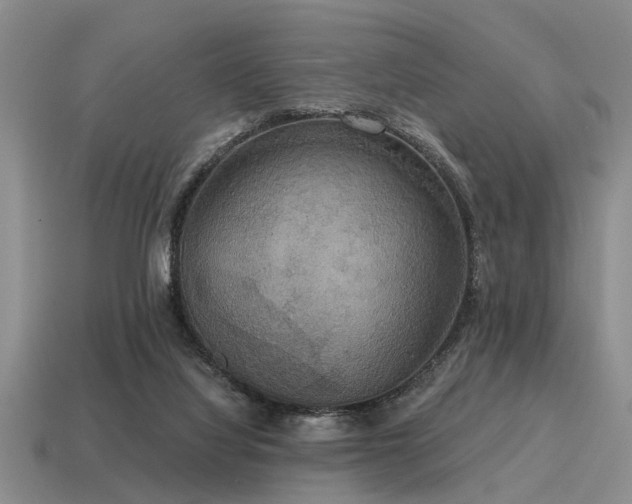 X0000115610068200911101436