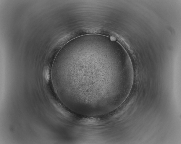 X0000115610069200911101436