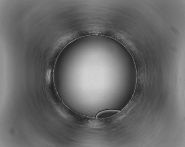 X0000115610070200911101436