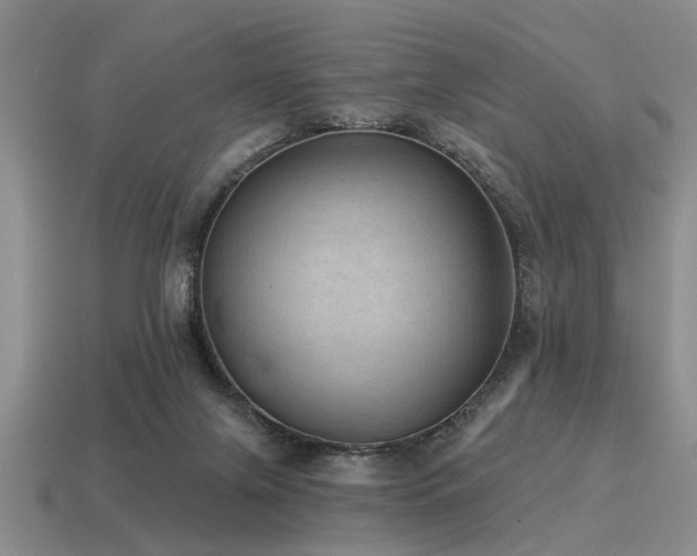 X0000115610071200911101436