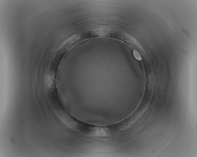 X0000115610073200911101436