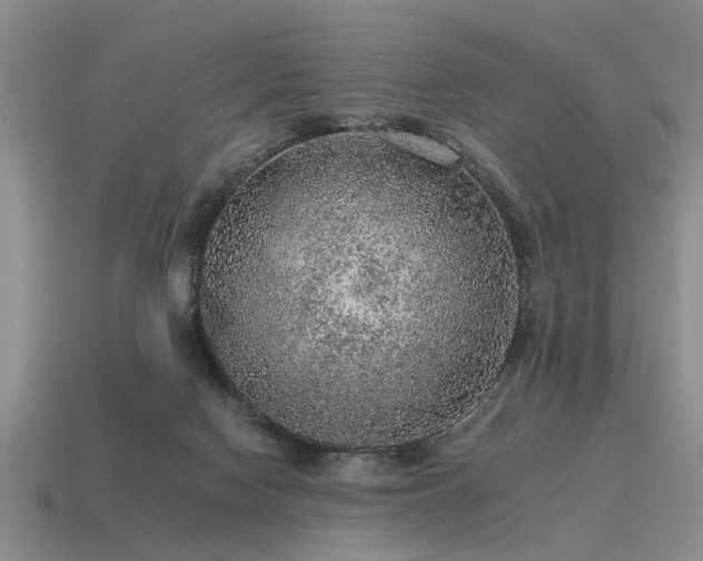 X0000115610074200911101436