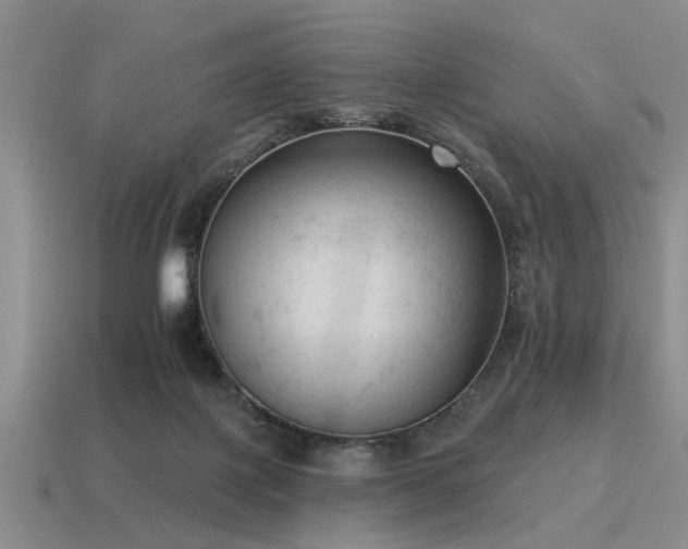 X0000115610075200911101436