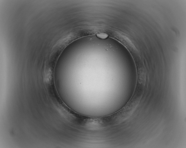 X0000115610077200911101436