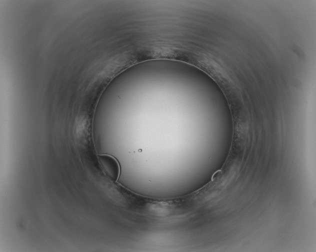 X0000115610079200911101436