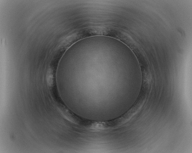 X0000115610080200911101436