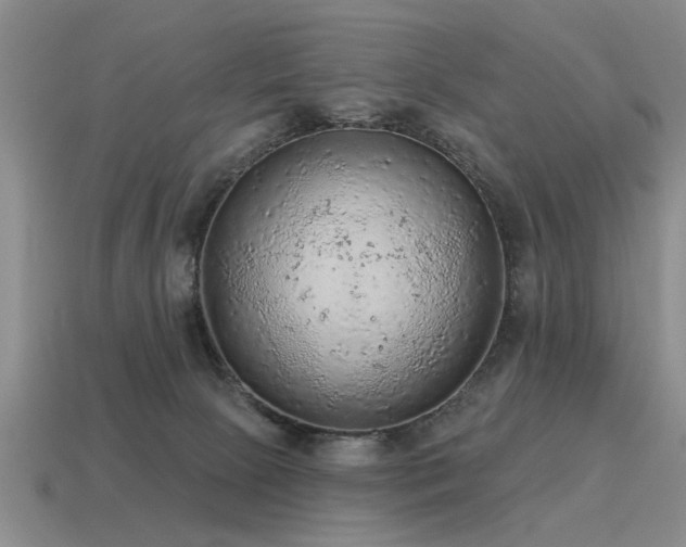 X0000115610081200911101436
