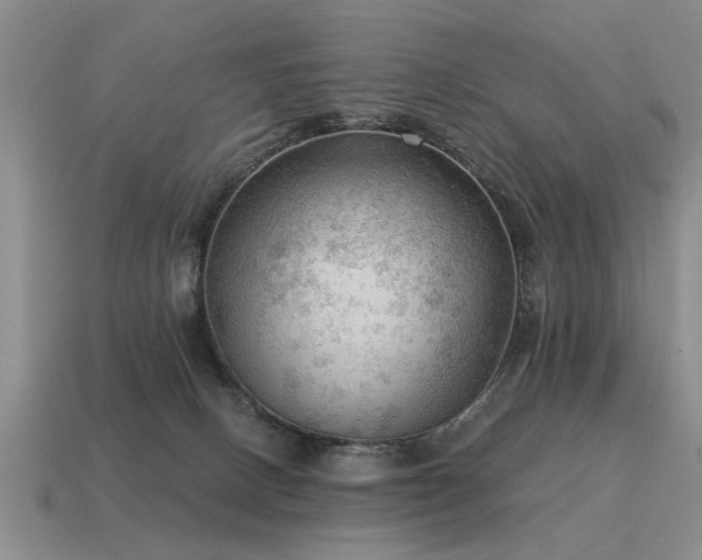 X0000115610082200911101436