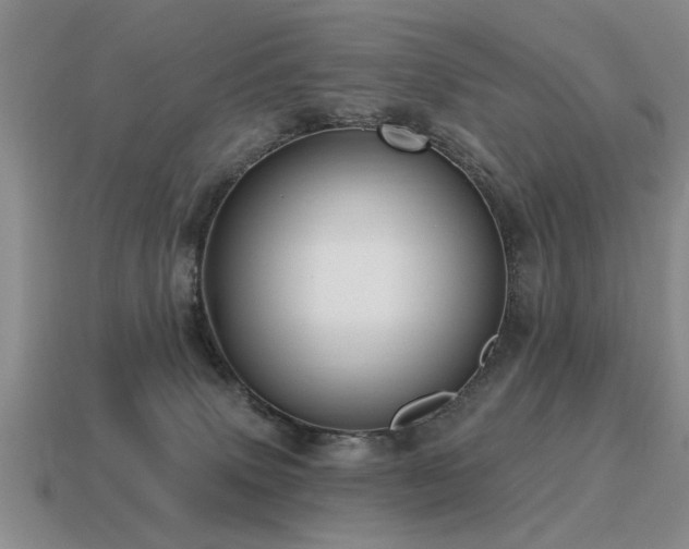 X0000115610083200911101436