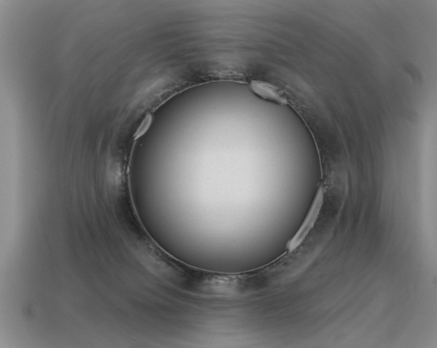 X0000115610084200911101436