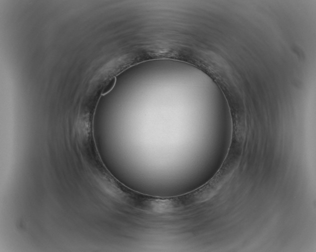 X0000115610085200911101436