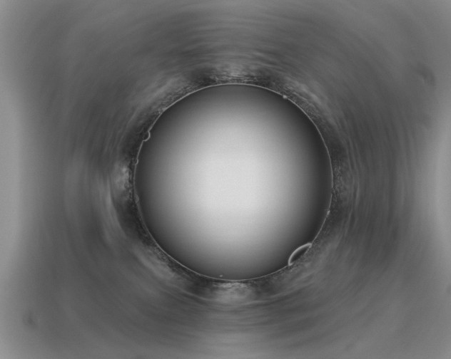 X0000115610087200911101436