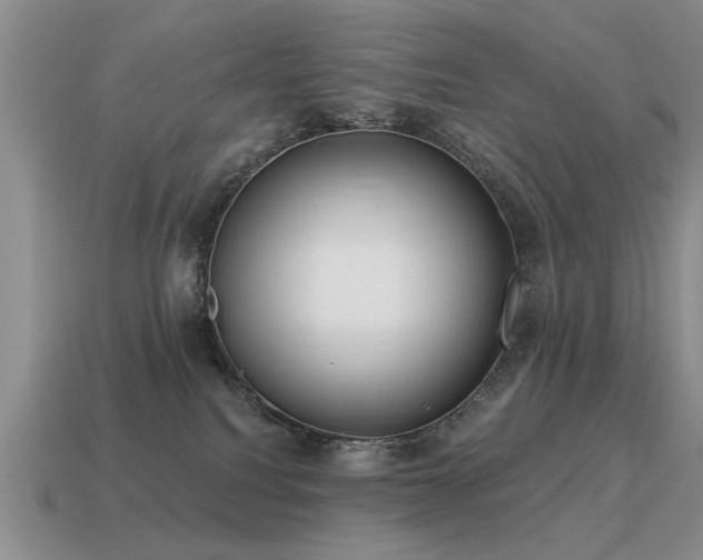 X0000115610088200911101436