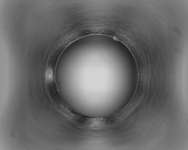 X0000115610089200911101436