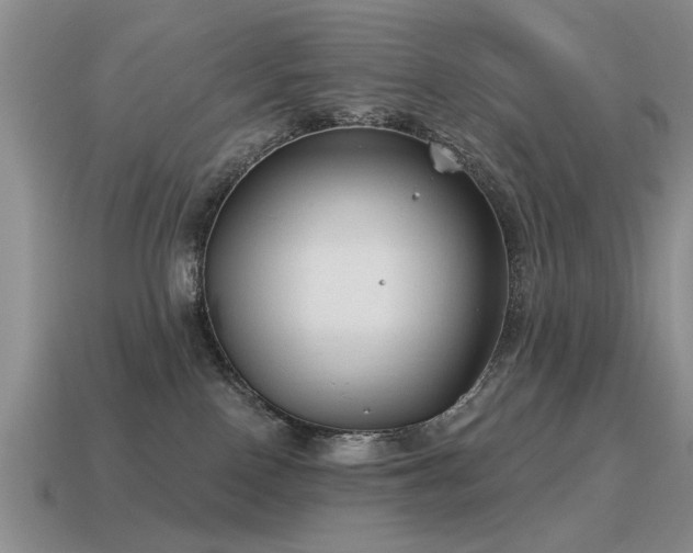 X0000115610090200911101436