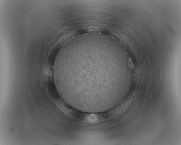 X0000115610091200911101436