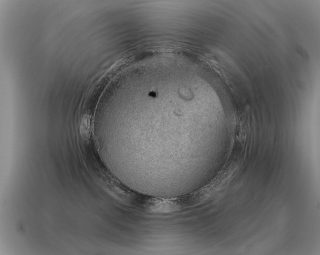 X0000115610093200911101436