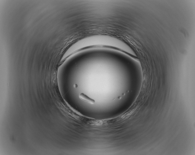 X0000115610096200911101436