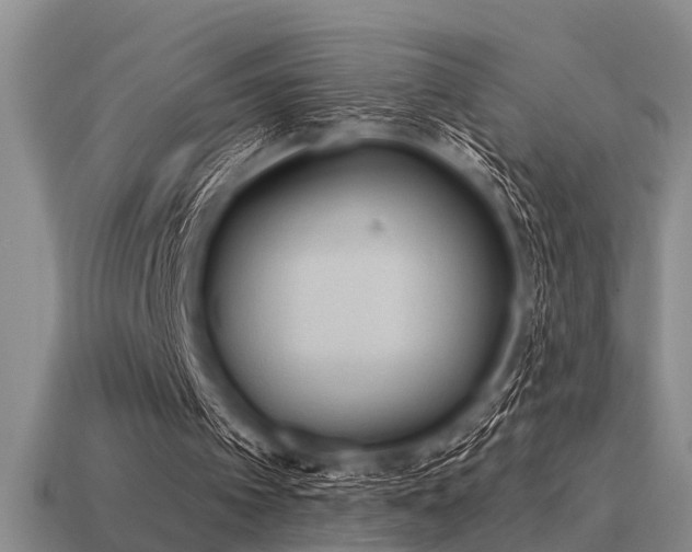 X0000115610097200911101435