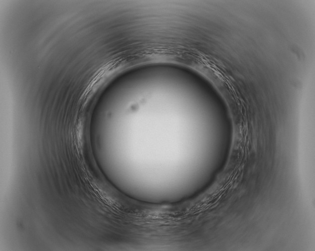 X0000115610098200911101435